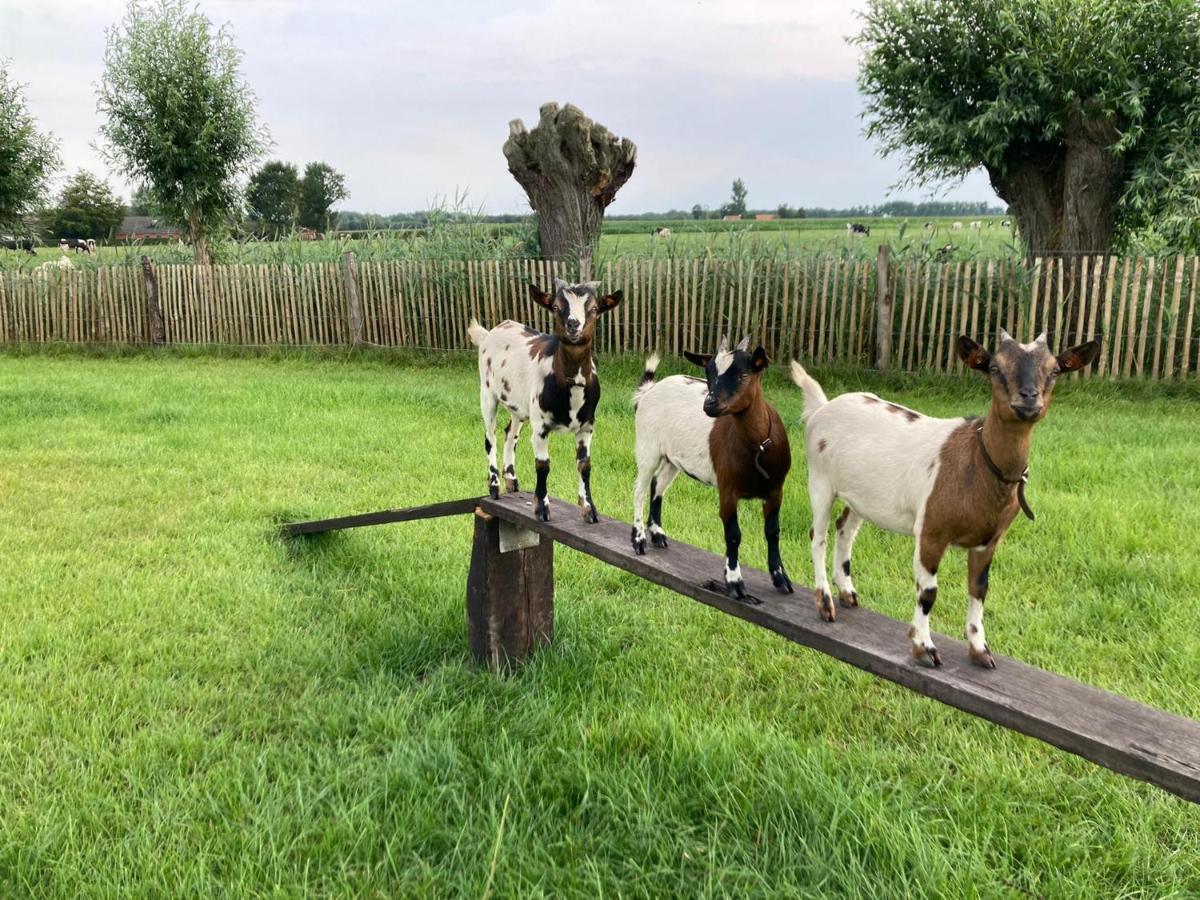 De Burkelhoeve App.A Maldegem Zewnętrze zdjęcie